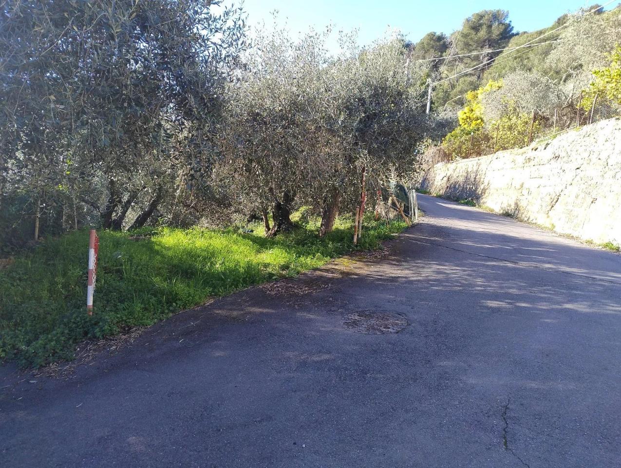 immagine annuncio 4 di 6