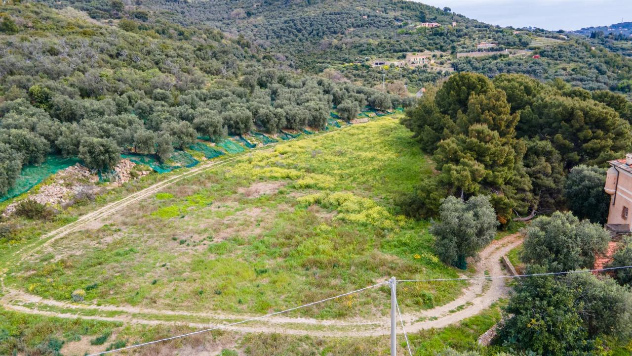 immagine annuncio 6 di 12