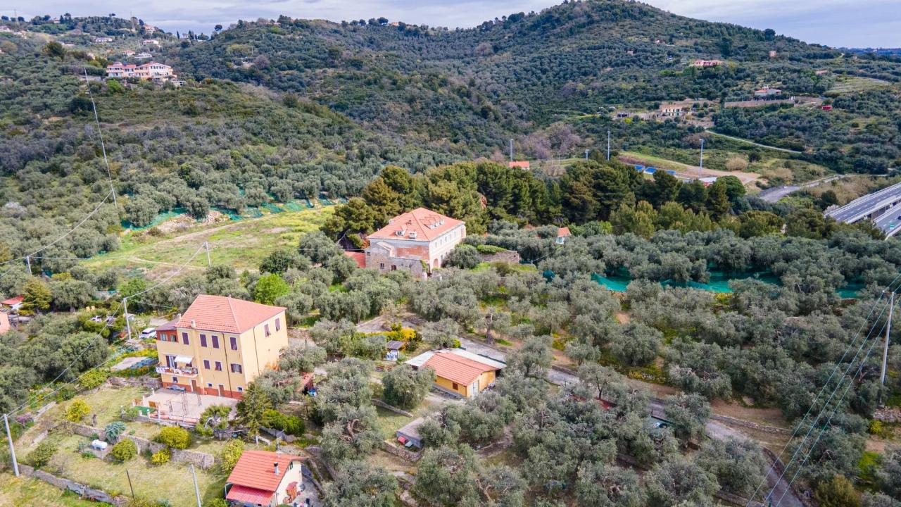 immagine annuncio 4 di 12