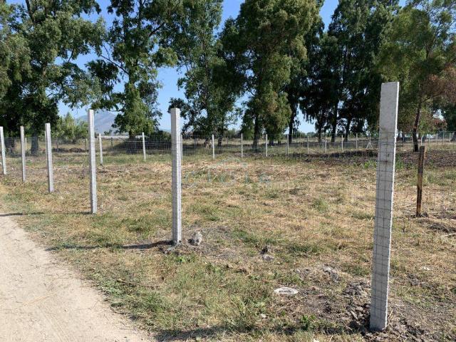 Terreno agricolo in Pineta Nuova, Mondragone - Foto 1