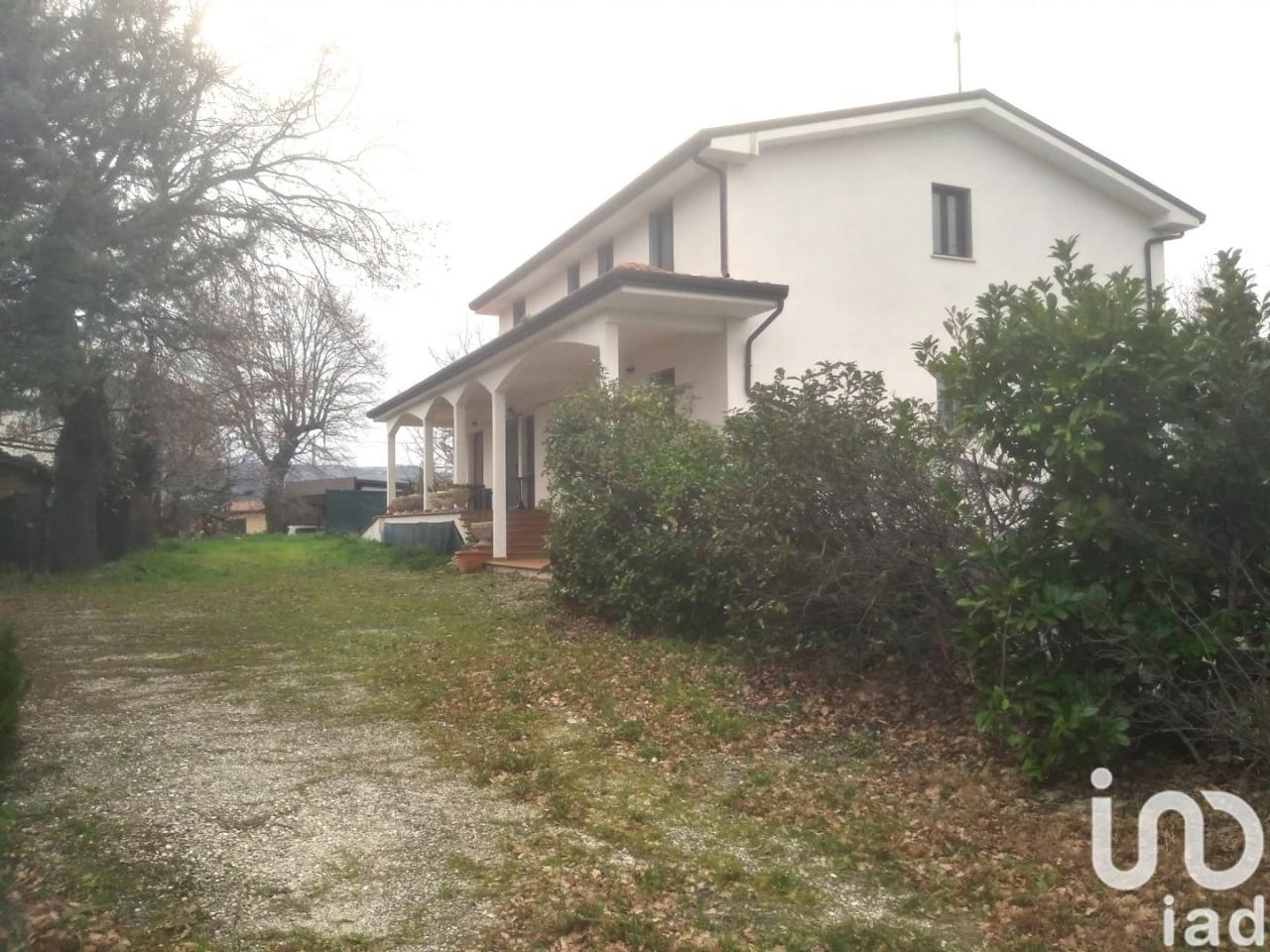 immagine annuncio 9 di 14