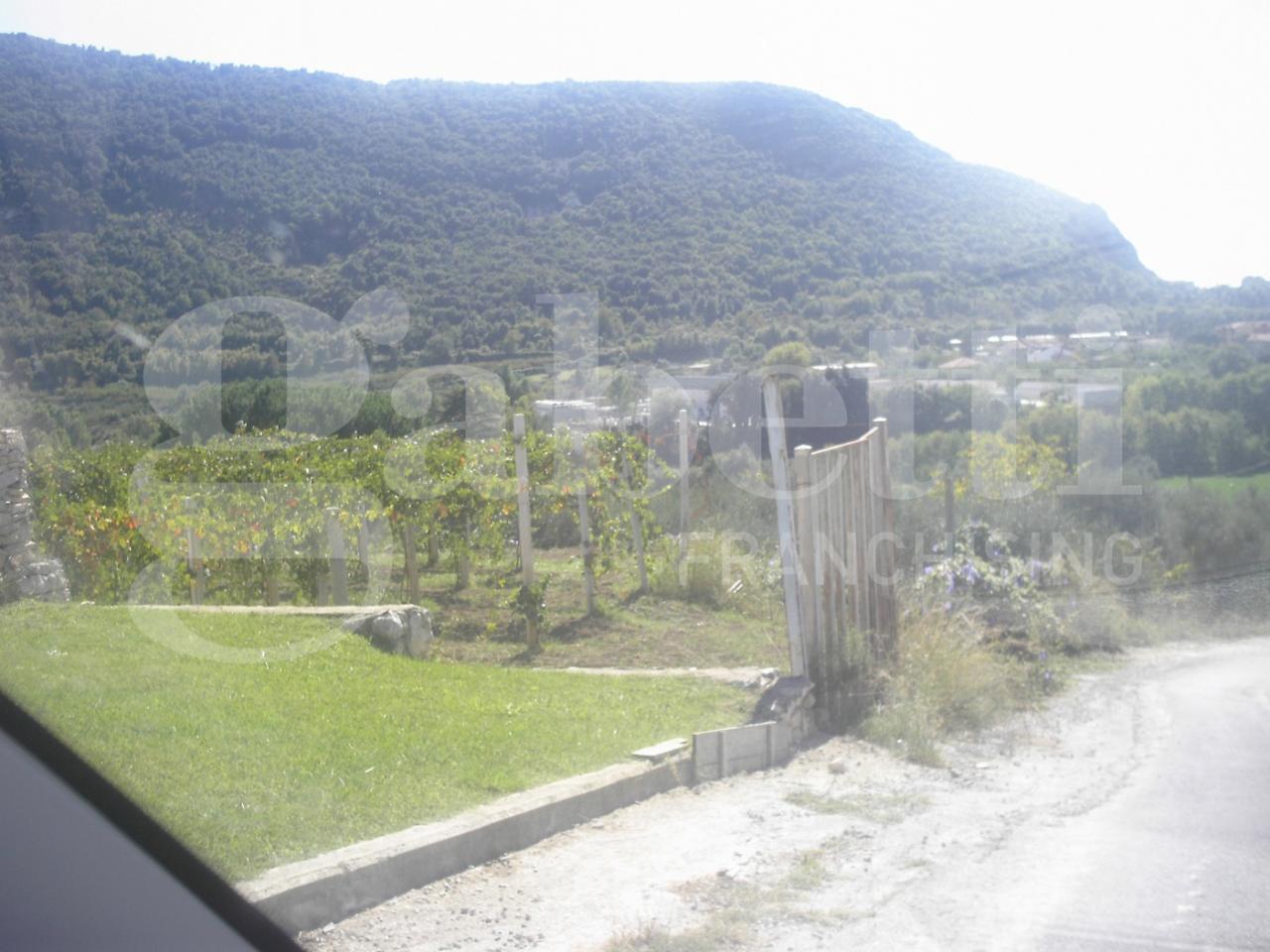 immagine annuncio 3 di 6