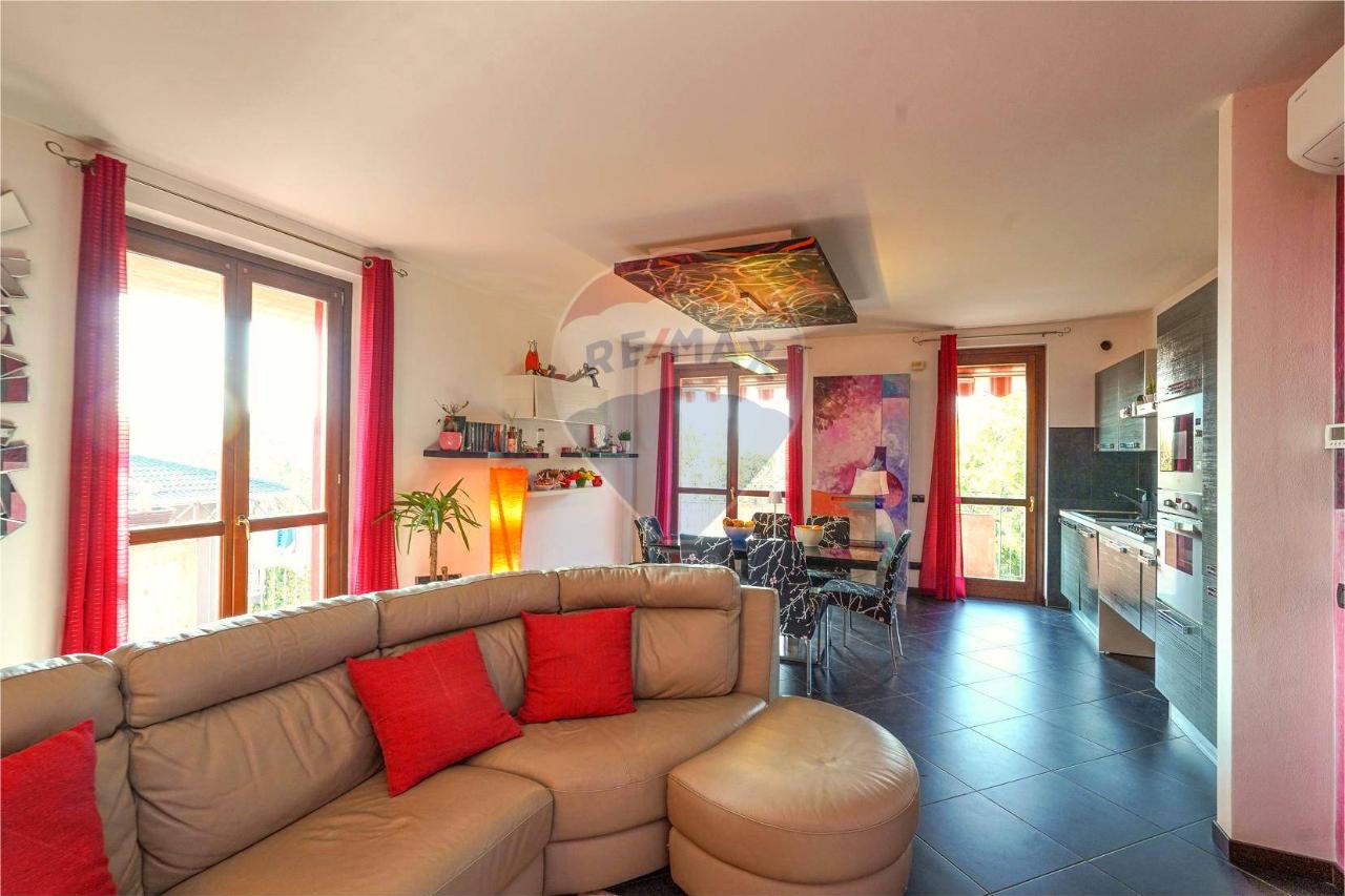 immagine annuncio 12 di 15