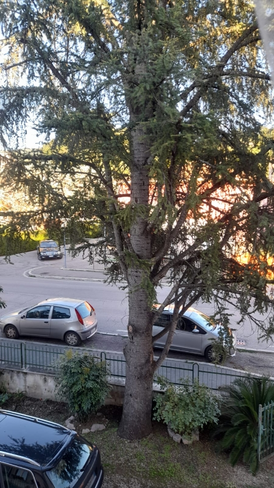 immagine annuncio 13 di 14