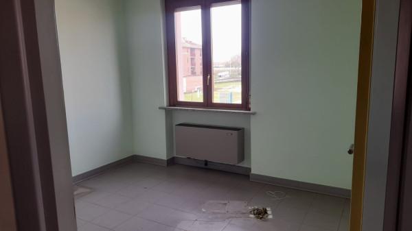 immagine annuncio 7 di 14