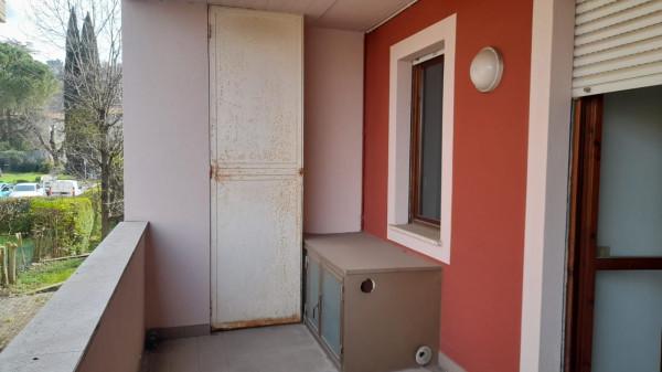 immagine annuncio 12 di 14