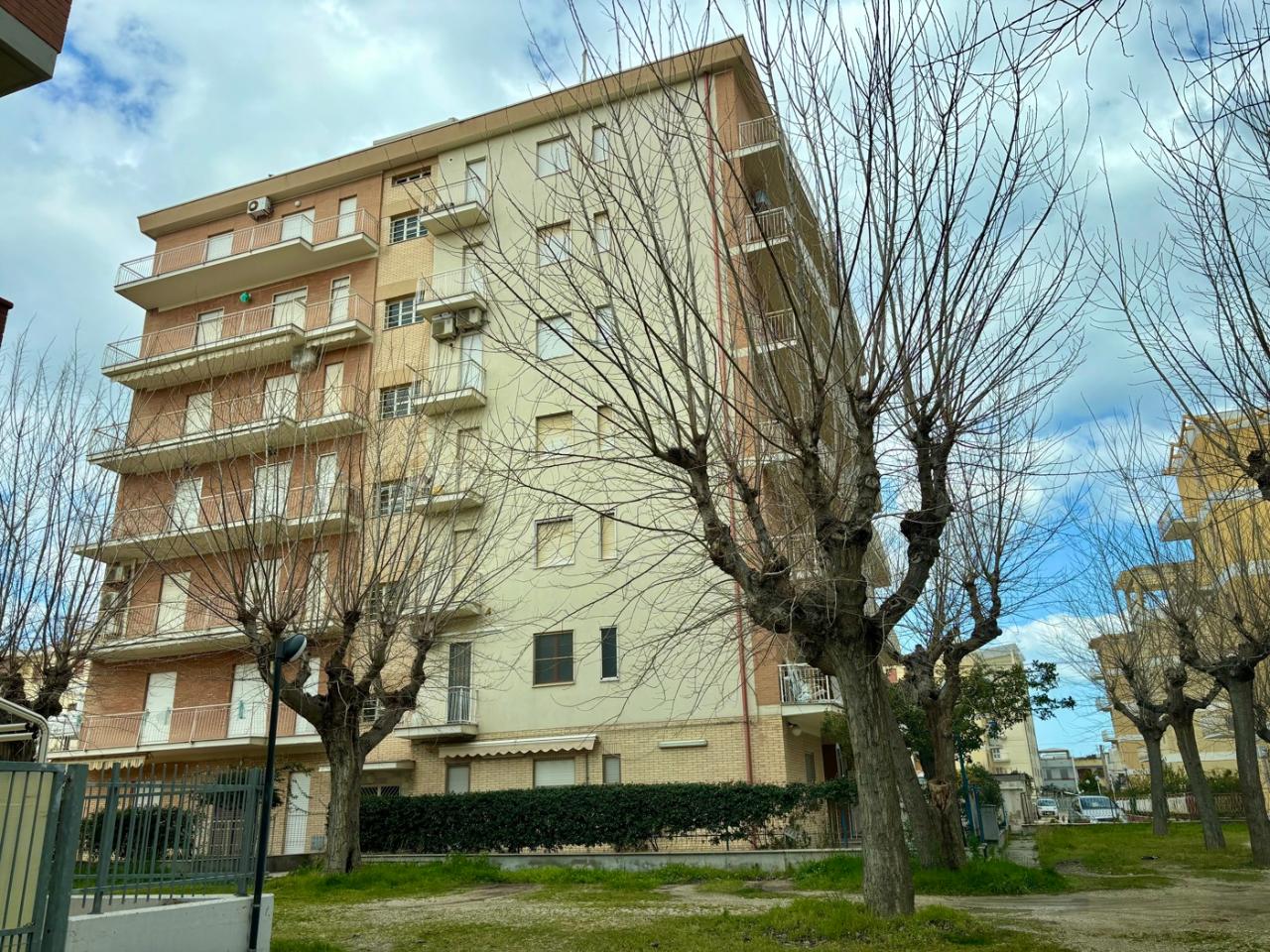 immagine annuncio 11 di 12