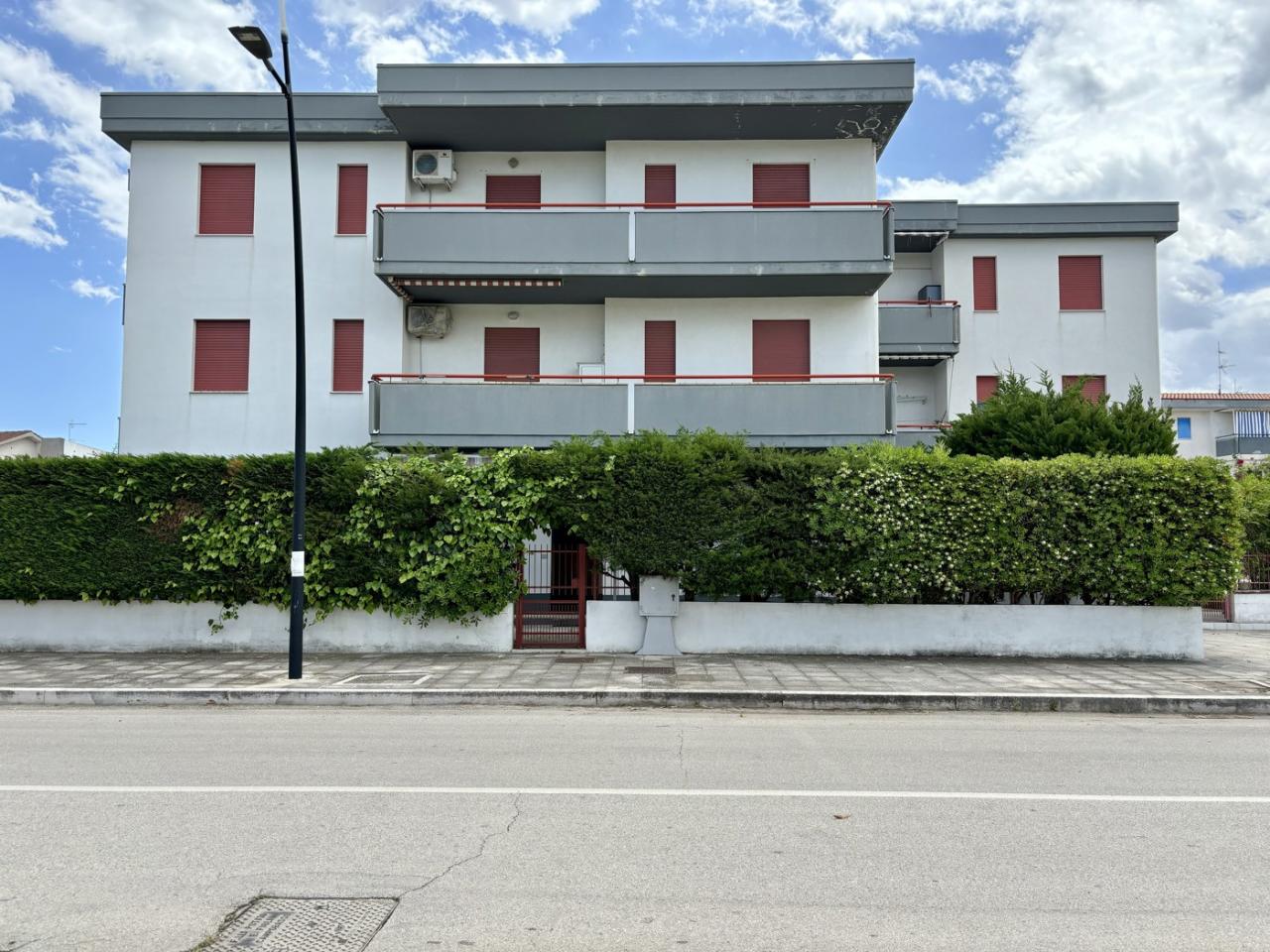 immagine annuncio 5 di 6