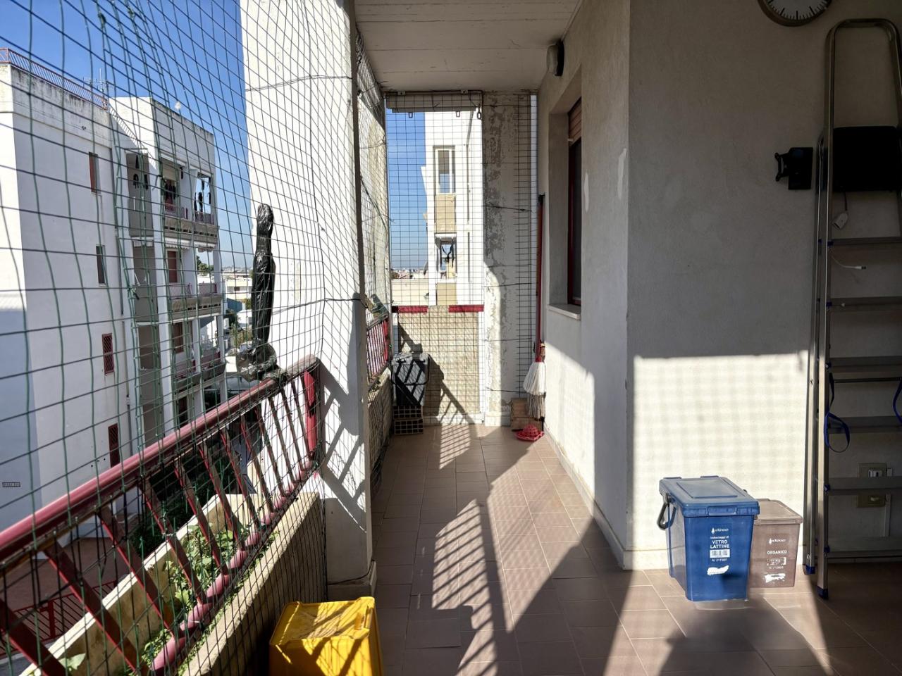 immagine annuncio 4 di 11