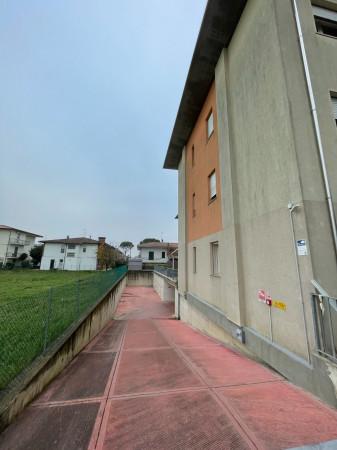 immagine annuncio 7 di 12