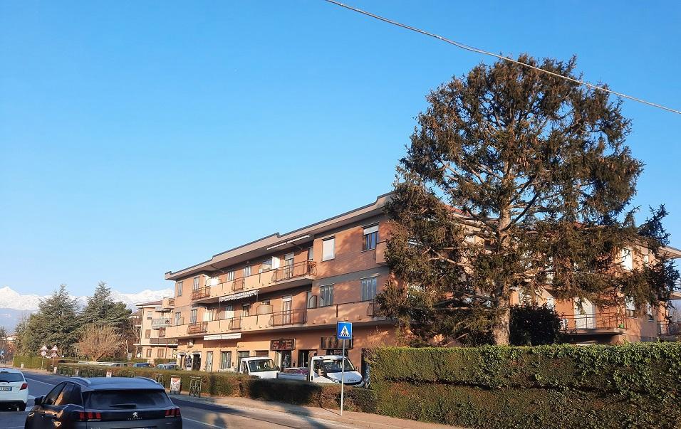 immagine annuncio 1 di 11