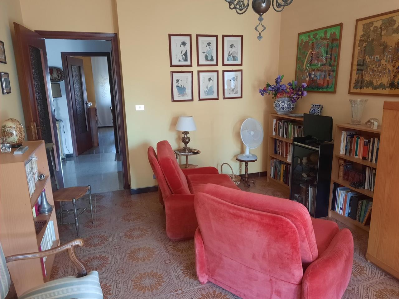 immagine annuncio 6 di 14