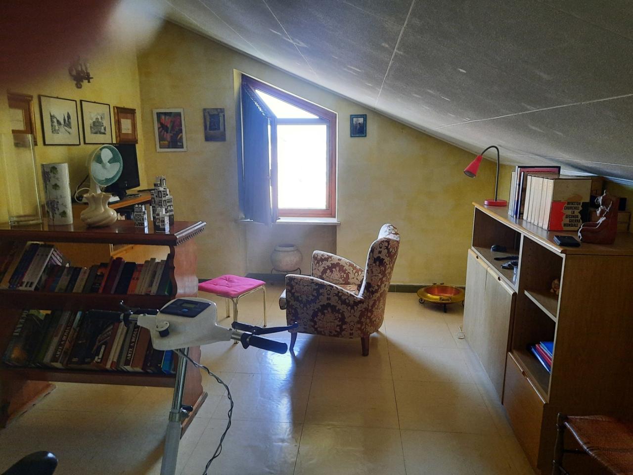 immagine annuncio 12 di 14