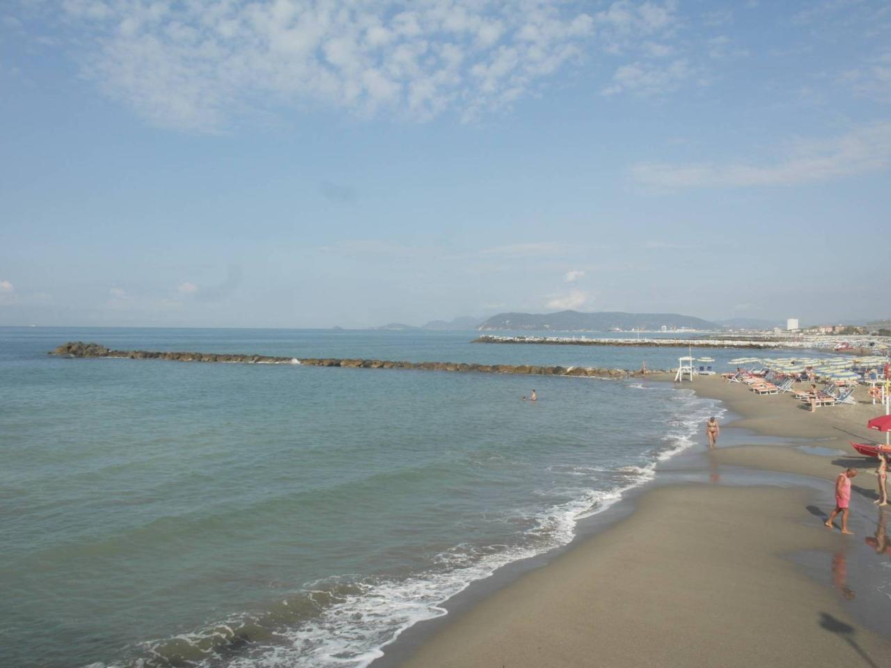 immagine annuncio 11 di 14