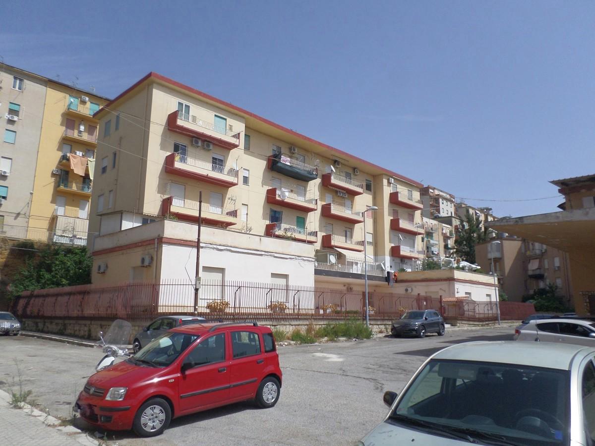 immagine annuncio 7 di 8