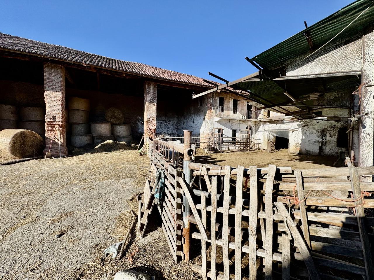 immagine annuncio 11 di 13