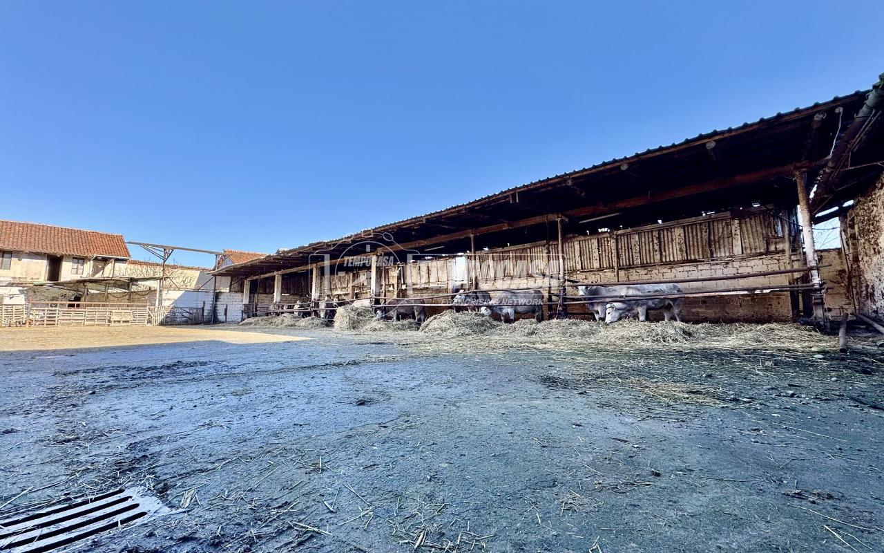 immagine annuncio 7 di 13