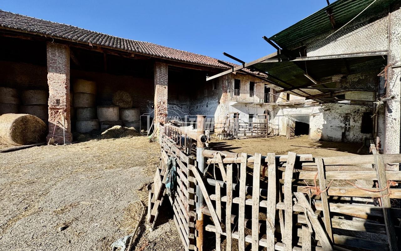 immagine annuncio 11 di 13