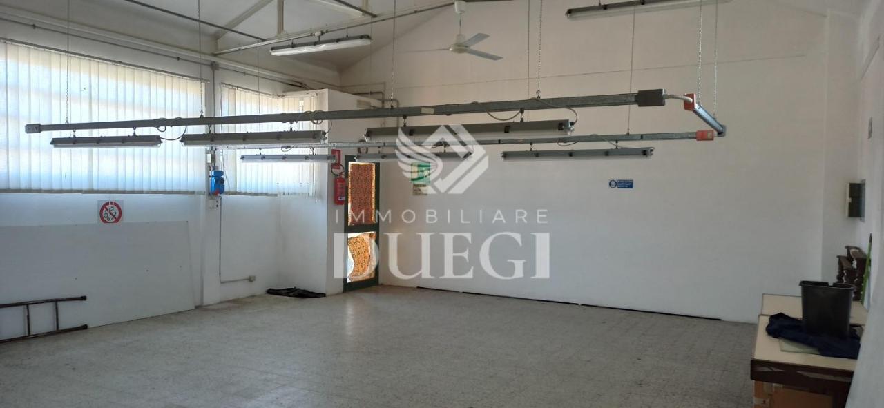 Capannone in Sarzanese Sud 835, Massarosa, {3} - Foto 2