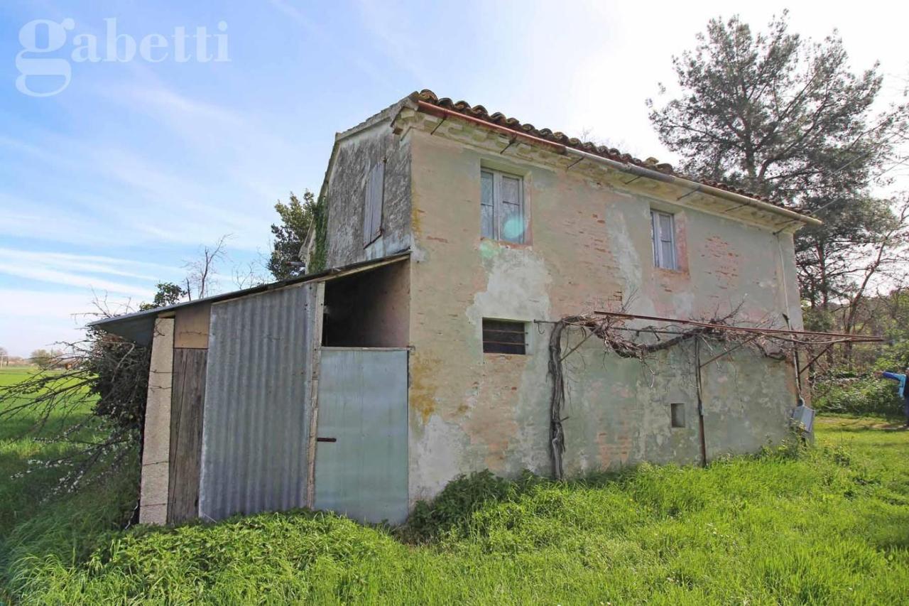 immagine annuncio 3 di 6