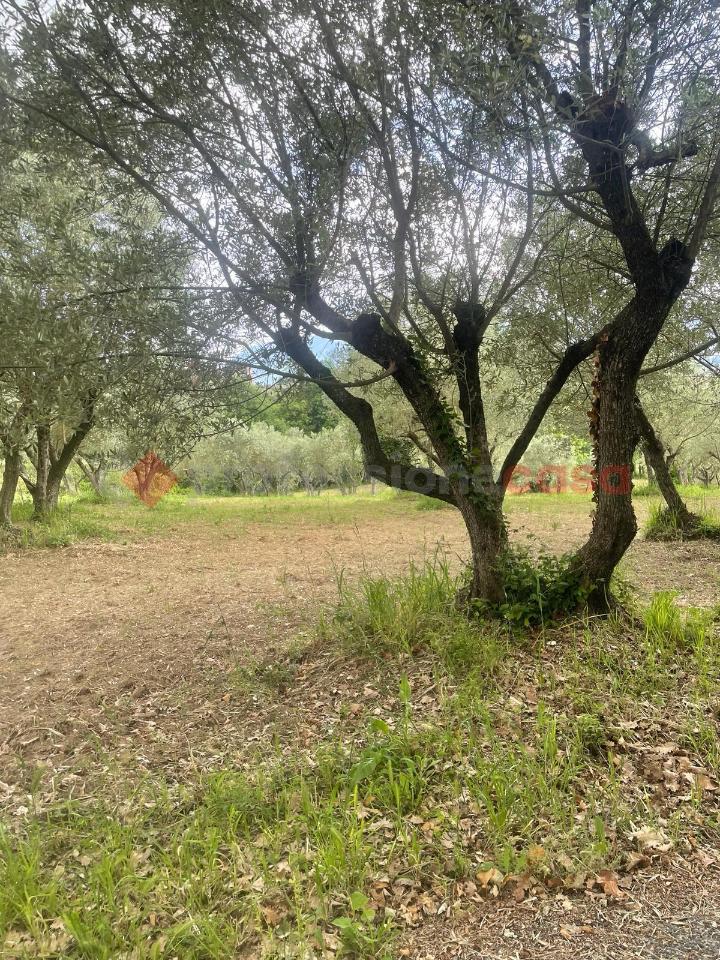 immagine annuncio 9 di 12