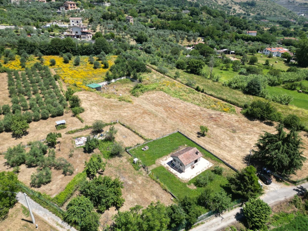 immagine annuncio 1 di 2