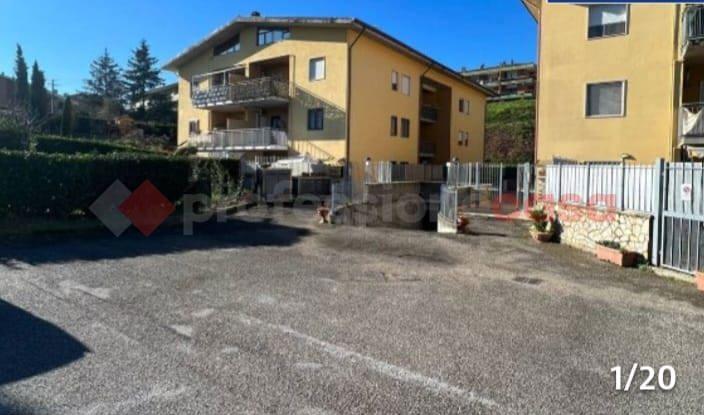 immagine annuncio 6 di 14