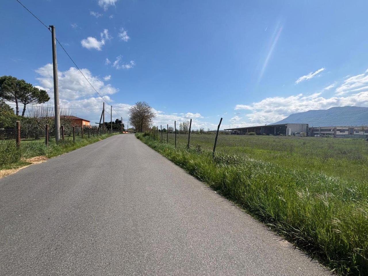 immagine annuncio 3 di 6