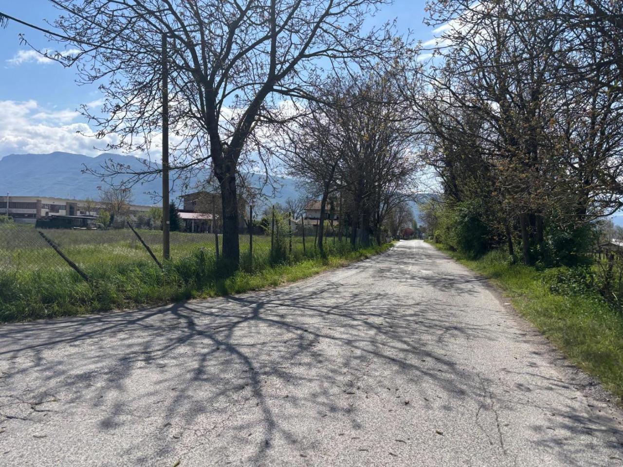 immagine annuncio 1 di 6