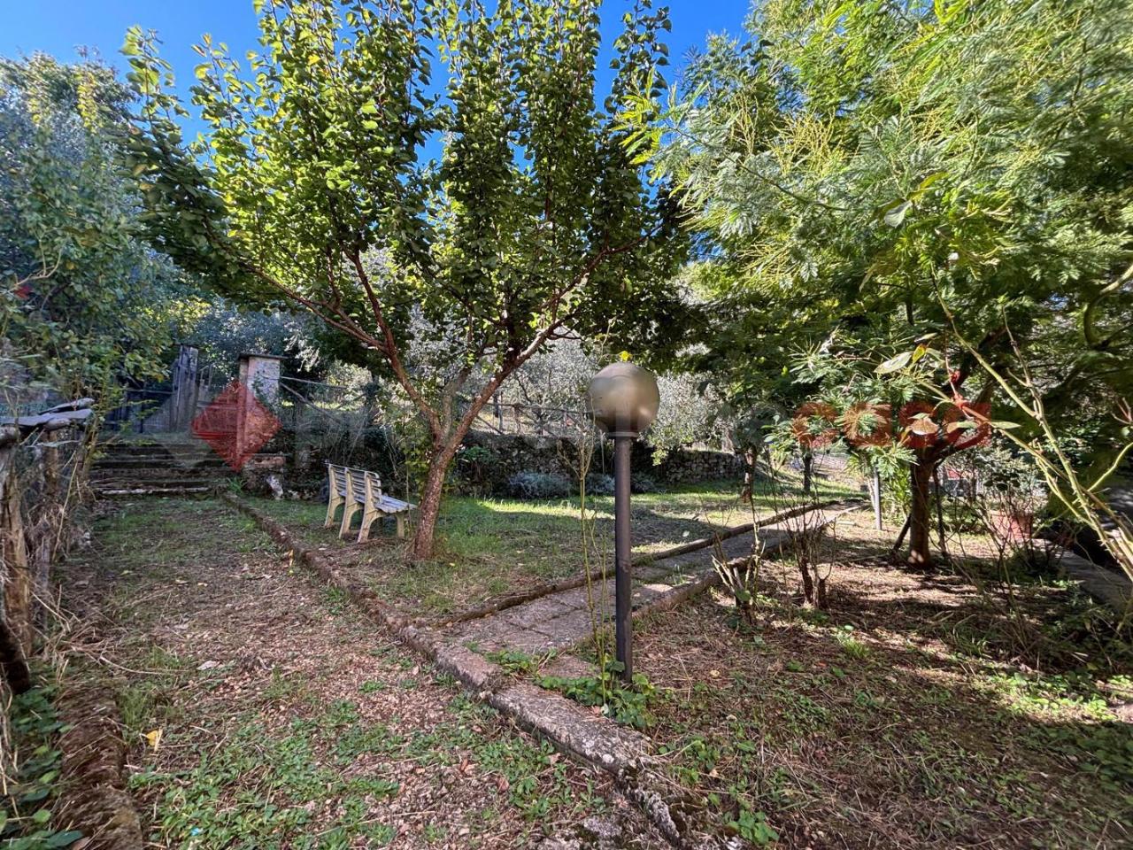 immagine annuncio 6 di 12