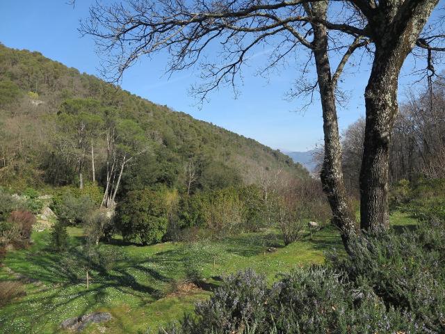 Mansion in Zanego 2, Lerici - Photo 1