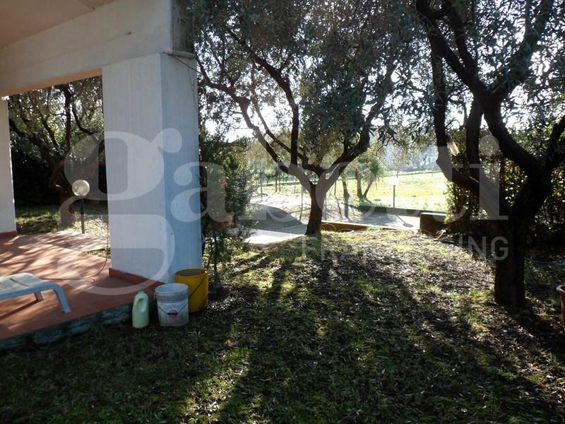 immagine annuncio 6 di 9