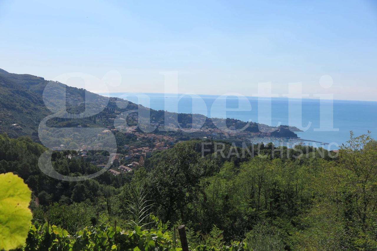 immagine annuncio 12 di 13