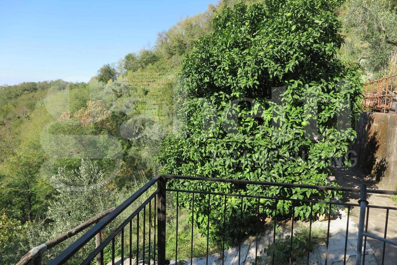 immagine annuncio 10 di 13