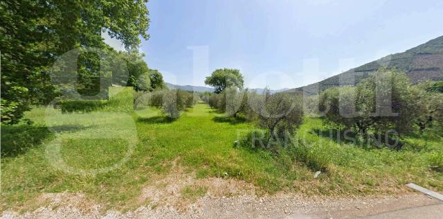 Agricultural land in Via Madonna degli Angeli, Prossedi - Photo 1