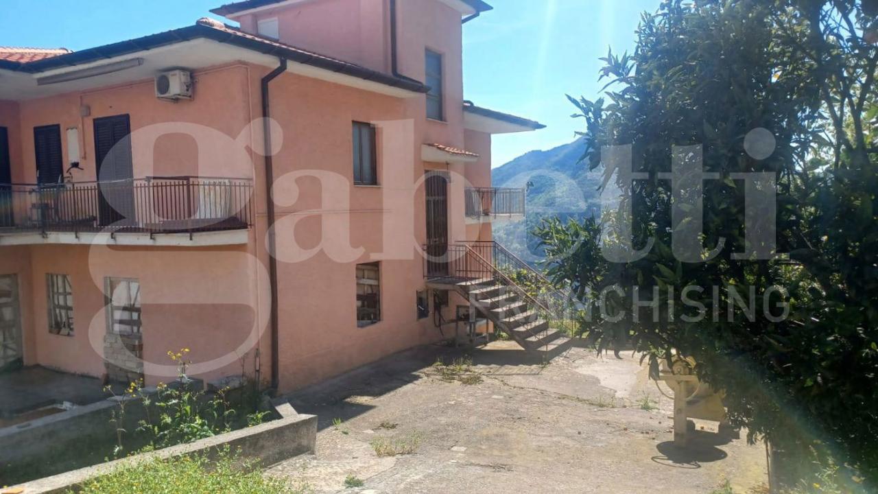 immagine annuncio 2 di 13