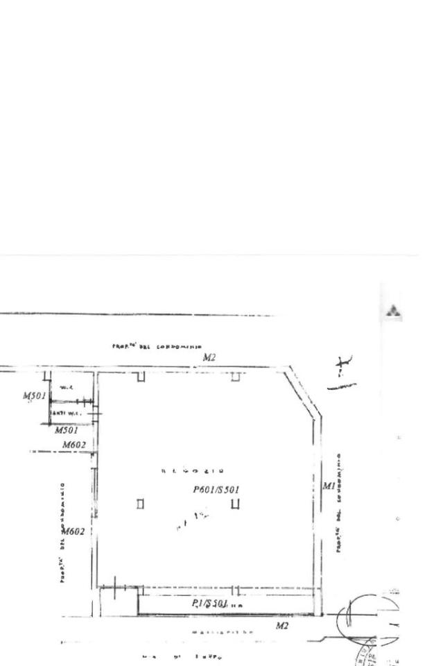 Negozio in Via Francesco di Toppo 73, Udine, {3} - Planimetria 1