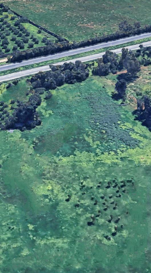 immagine annuncio 3 di 4