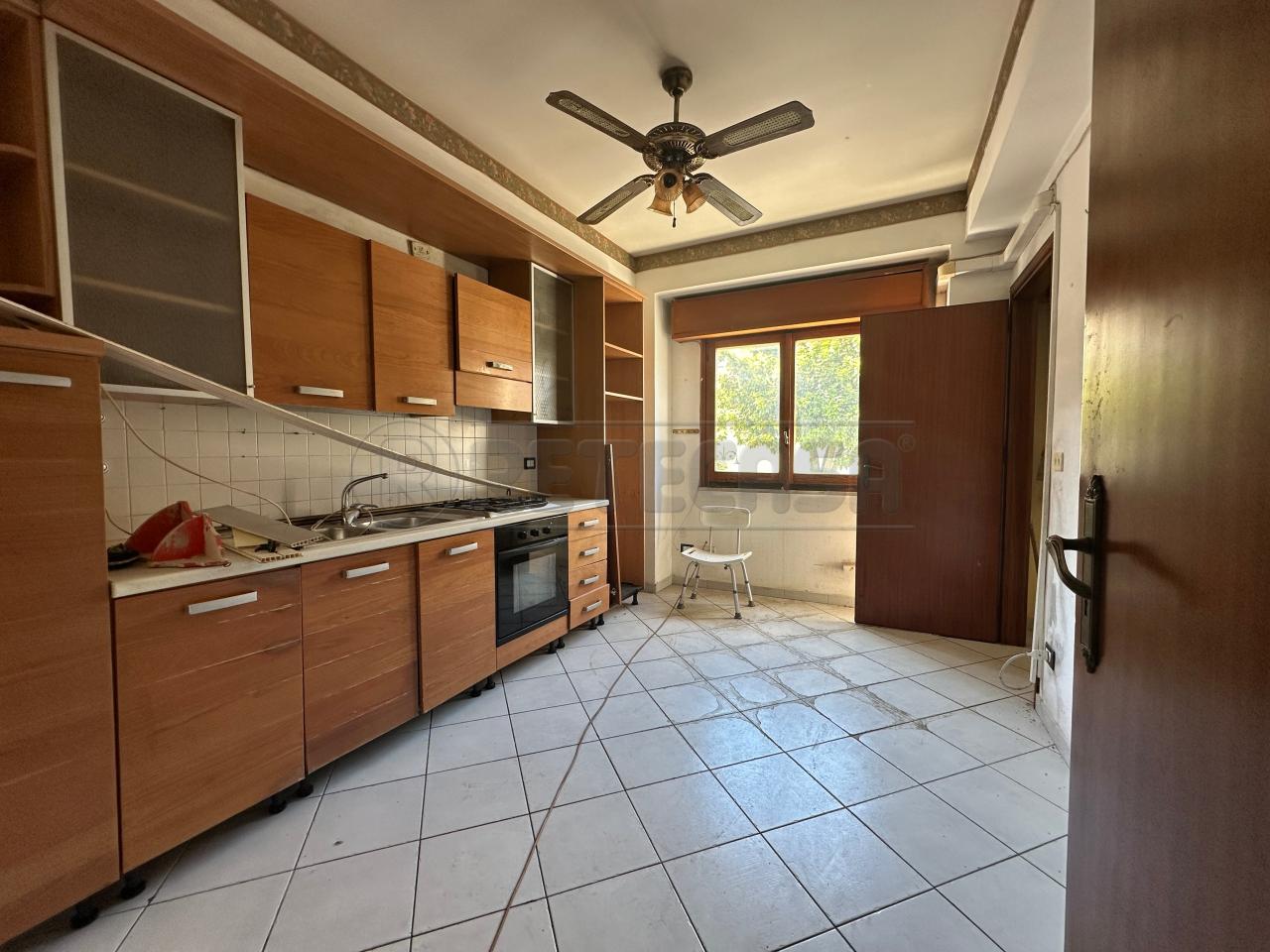 immagine annuncio 0 di 15