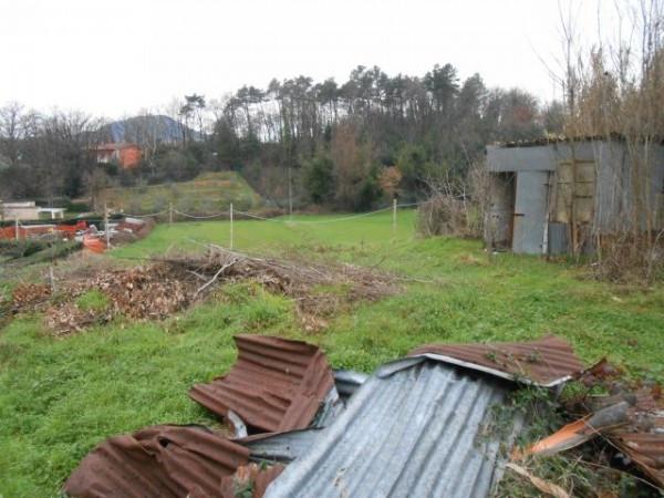 immagine annuncio 4 di 11