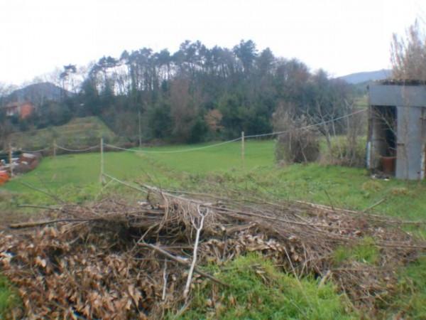 immagine annuncio 3 di 11