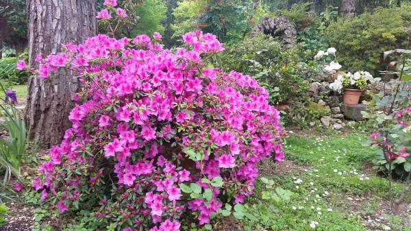 immagine annuncio 10 di 11