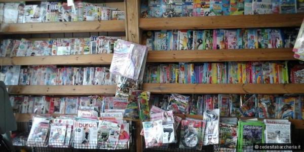 Edicola in Via Roma, Lucca, {3} - Foto 1