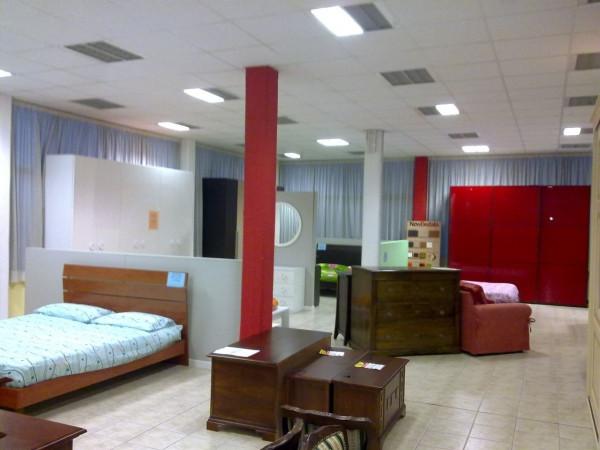 Capannone in Via dei Marmi 67, Viareggio, {3} - Foto 1