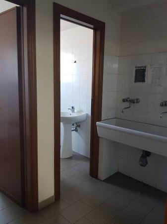 Capannone in Via Cavour 111, Altopascio, {3} - Foto 2