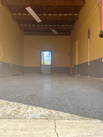 Negozio in Viale G. Puccini, Lucca, {3} - Foto 2
