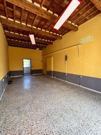 Negozio in Viale G. Puccini, Lucca, {3} - Foto 1
