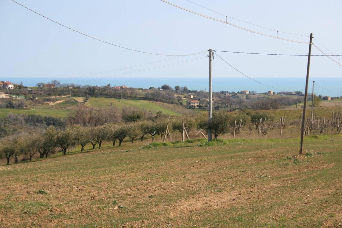 Terreno edificabile in vendita a Massignano