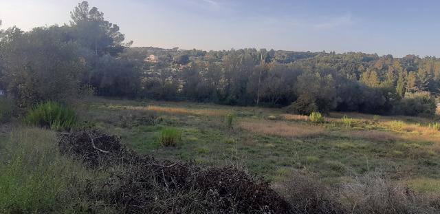 Agricultural land in Via delle Fattorie, Livorno - Photo 1