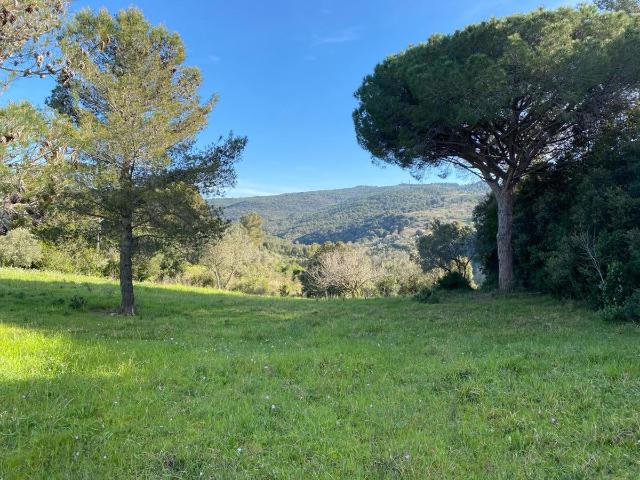 Terreno agricolo in Via delle Fattorie Snc, Livorno - Foto 1